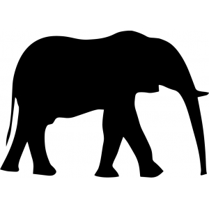 Olifant